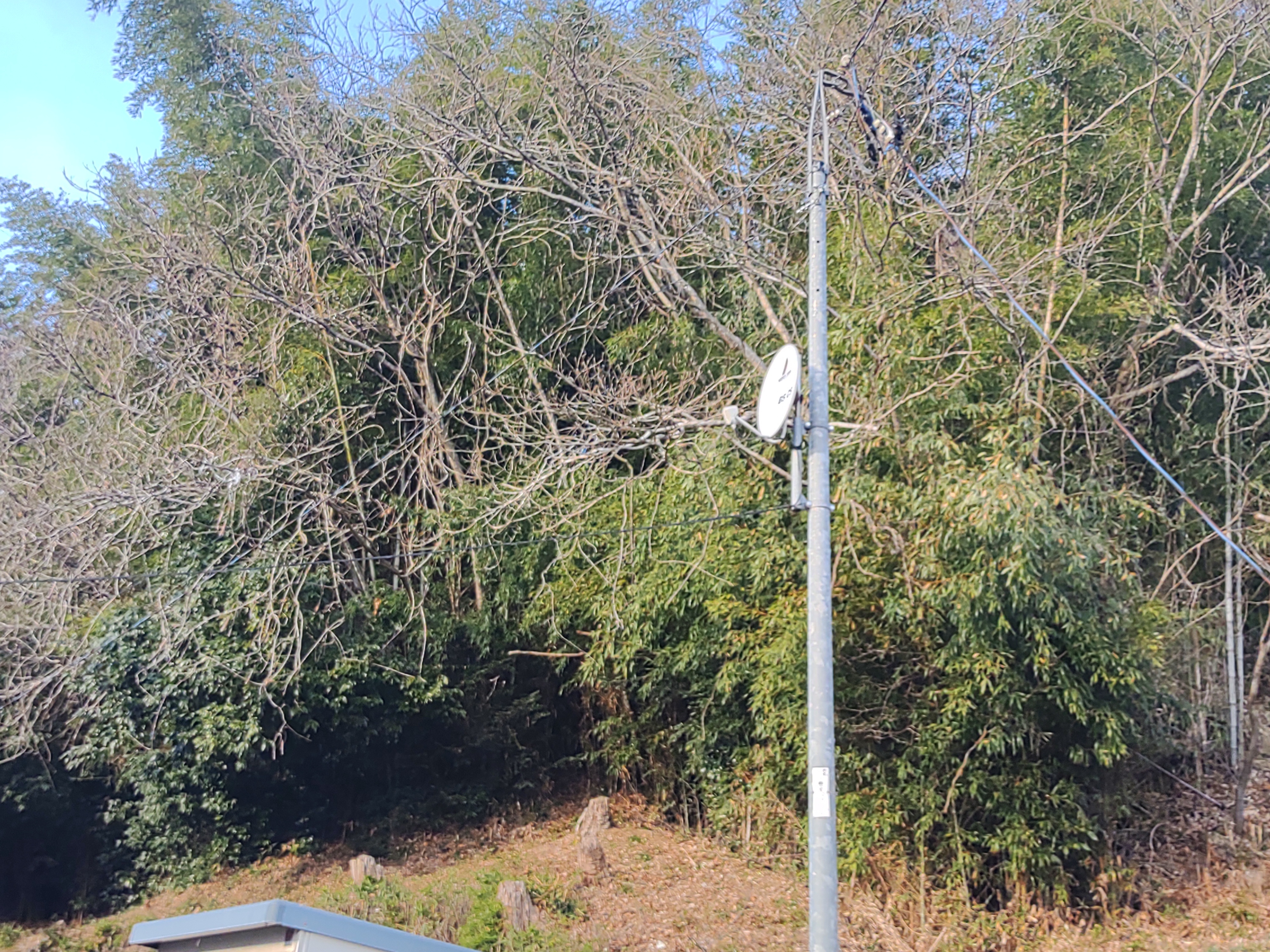 IMG_20231221_134514115[1]