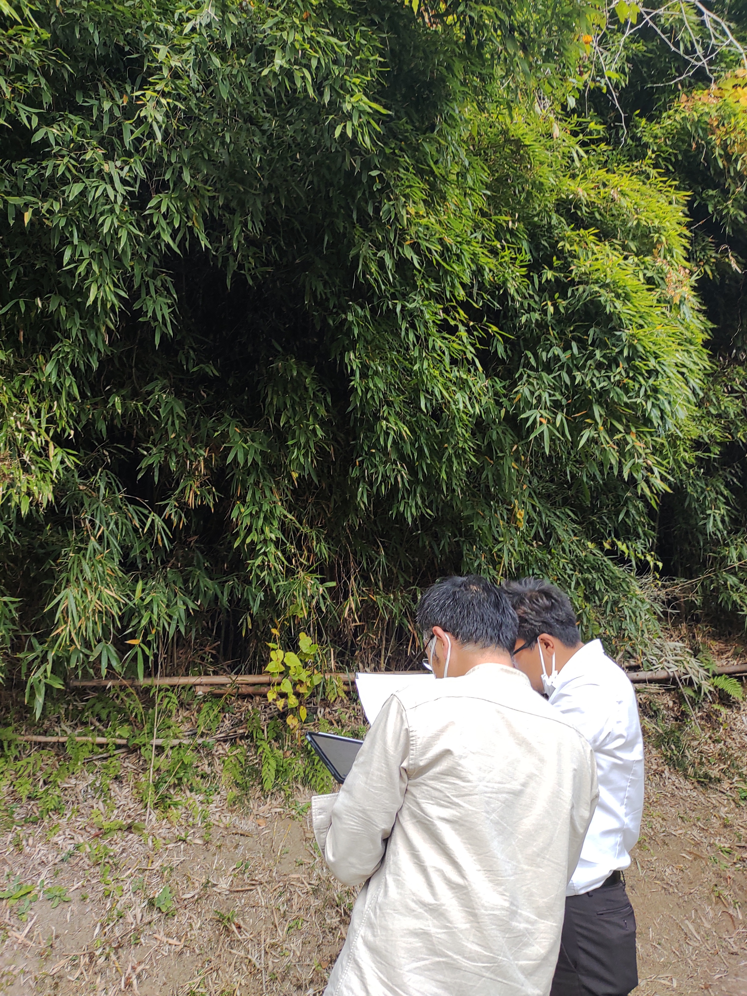 IMG_20231103_155341161[1]