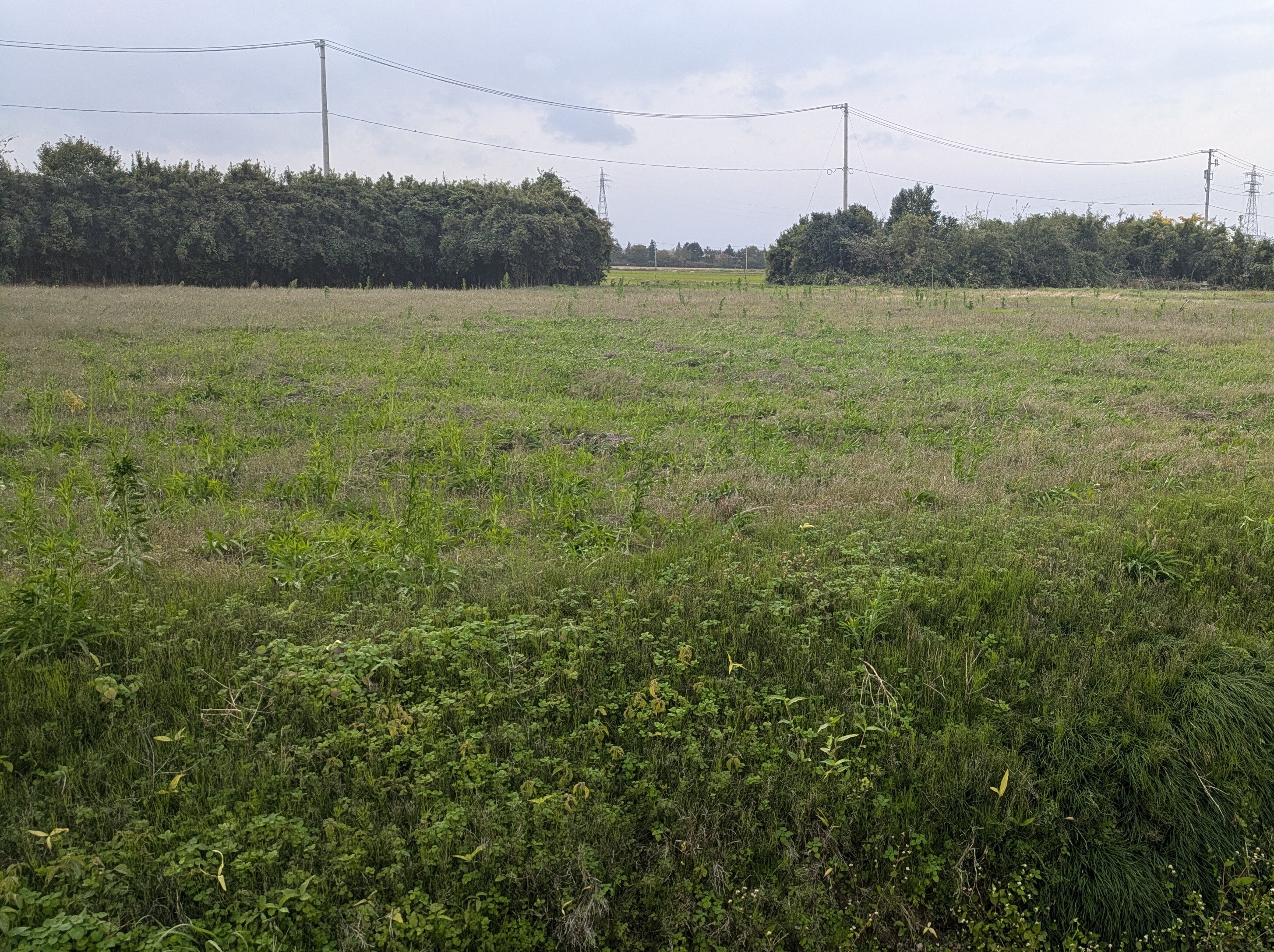 PXL_20251028_062340935[1]