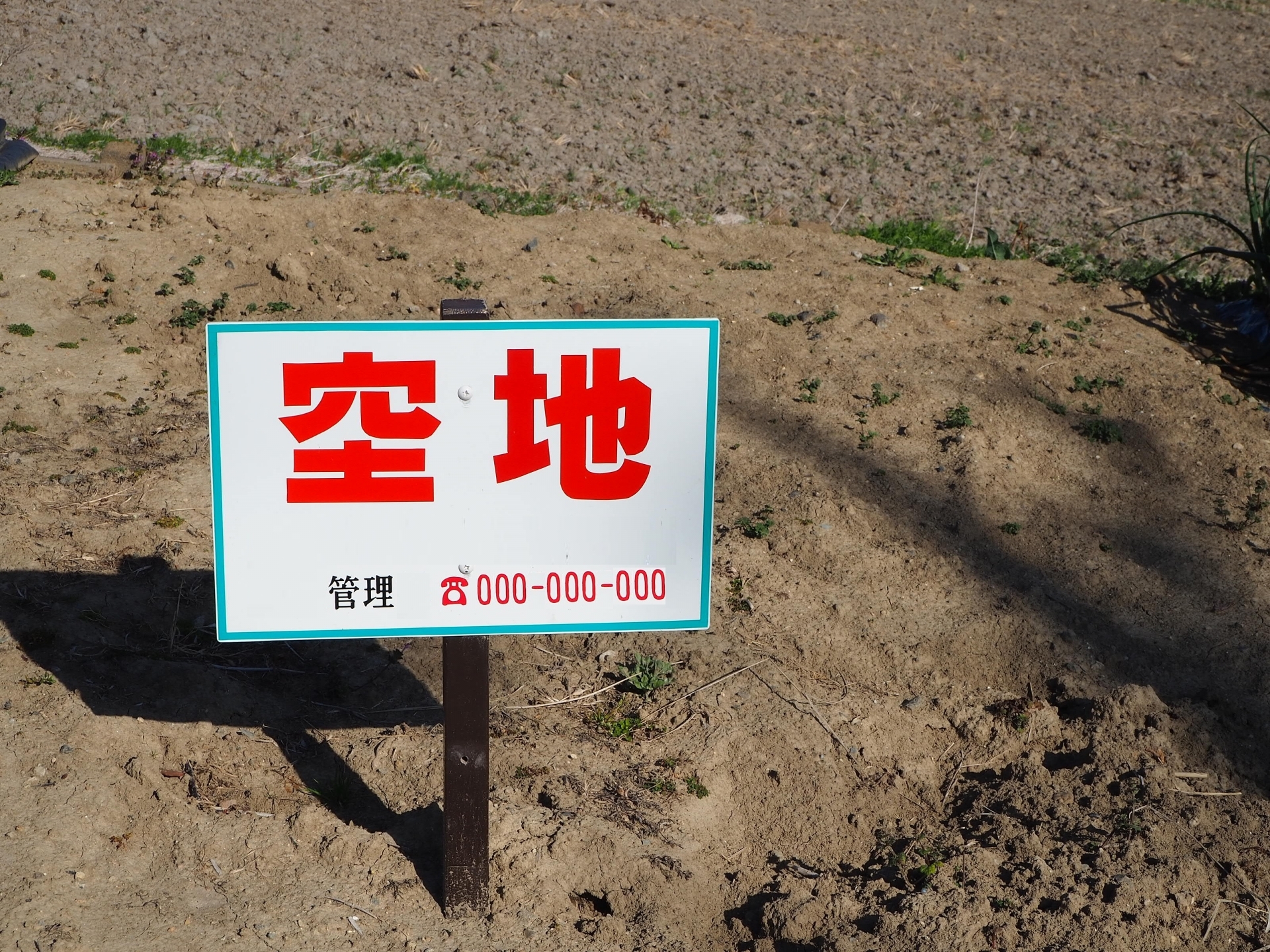 24682852_m